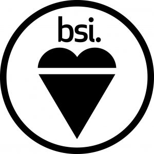 British standards institute image